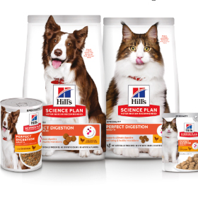 SP Perfect Digestion brochure