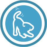 Gezonde Spijsvertering pictogram