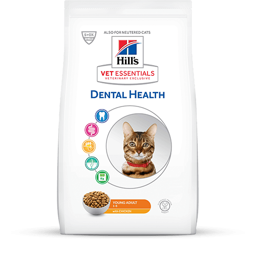 Hill’s Vet Essentials Dental Health Kattenvoer