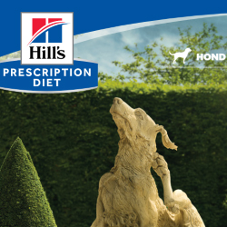 Consumentenfolder - Derm Complete