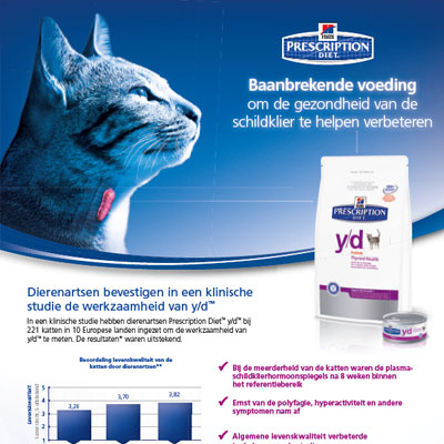 Hpyperthyroïdie bij katten – informatiebrochure