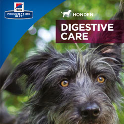 Consumentenfolder voor hondeneigenaren