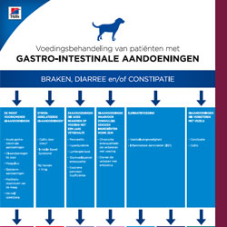 Canine Protocol Gastro