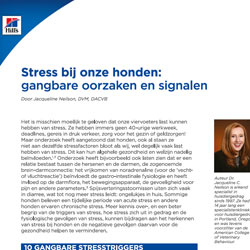  Stress bij onze honden – gangbare oorzaken en signalen