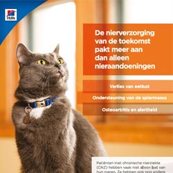  k/d Informatiebrochure