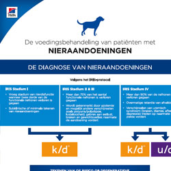  Protocol nieraandoeningen