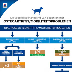 Protocol Mobiliteitsproblemen