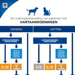 Protocol hartaandoeningen