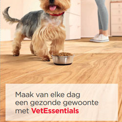 Consumentenfolder voor hondeneigenaren