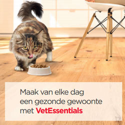 Consumentenfolder voor katteneigenaren