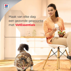 Consumenten poster Feline