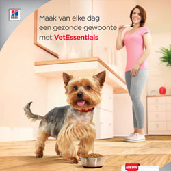 Consumenten poster Canine