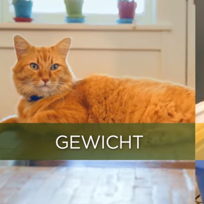 Metabolic + Urinary Video