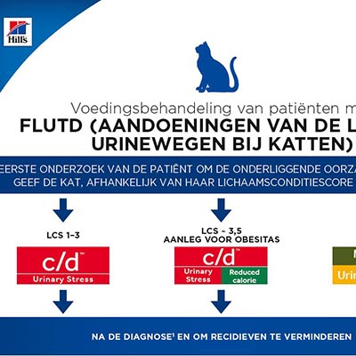  Feline Protocol FLUTD