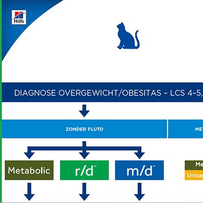 Feline Protocol Weight