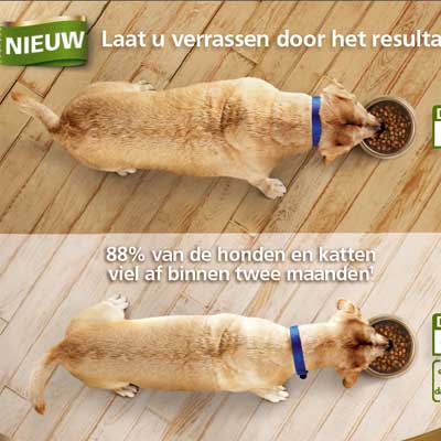 Metabolic informatiebrochure