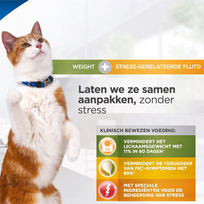 Metabolic + Urinary Stress Detailer